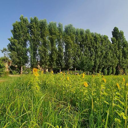 彼得拉桑塔Fattoria Il Giardo公寓 外观 照片