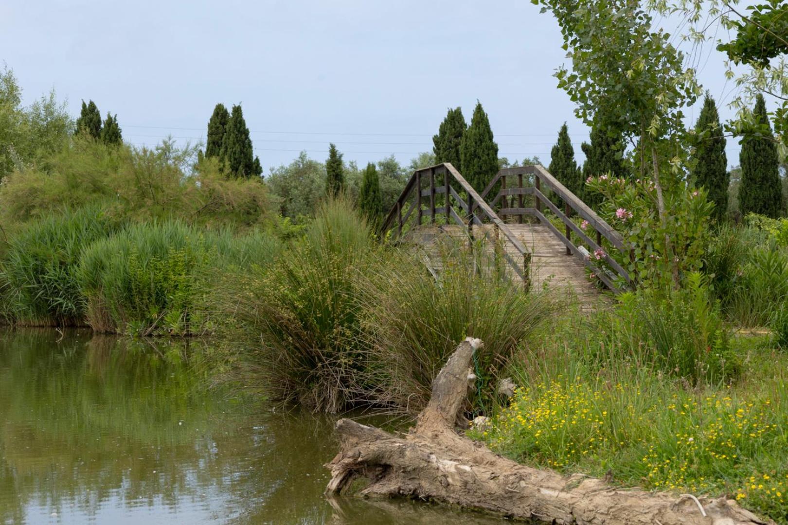 彼得拉桑塔Fattoria Il Giardo公寓 外观 照片