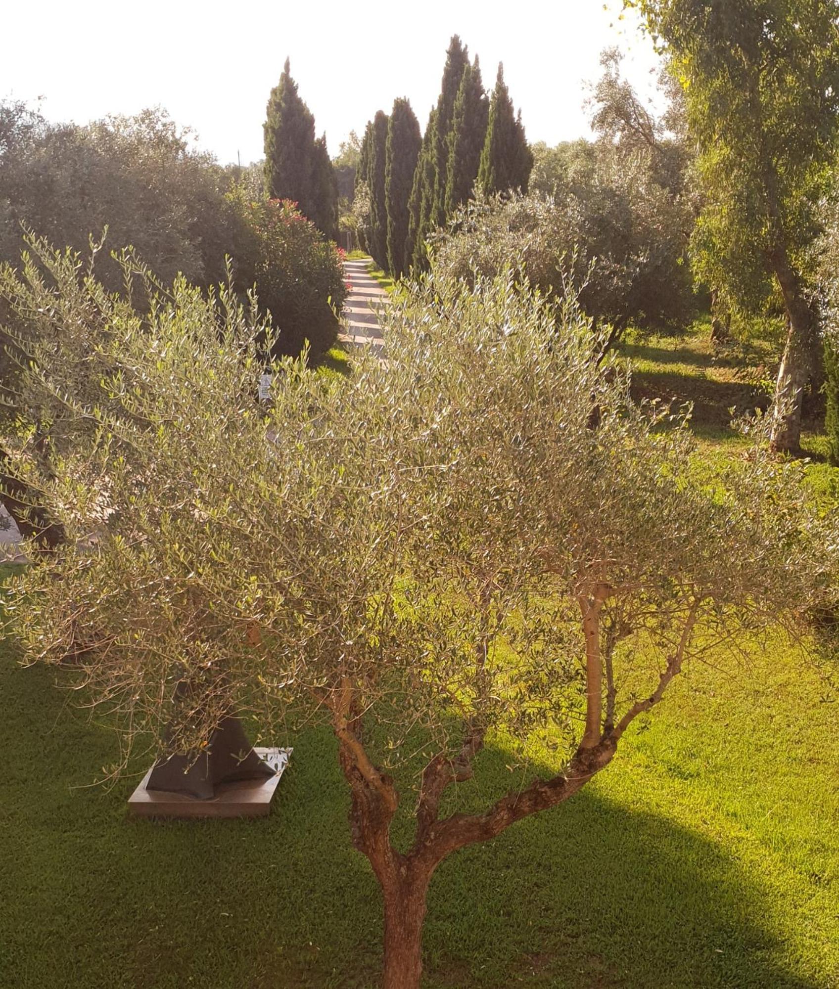 彼得拉桑塔Fattoria Il Giardo公寓 外观 照片